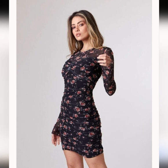 Zara Ruched Tulle Rose Pattern Dress with Mesh Long Sleeves - Picture 4 of 14